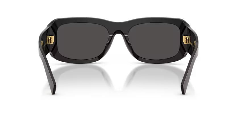 DOLCE & GABBANA DG4503 Sunglass