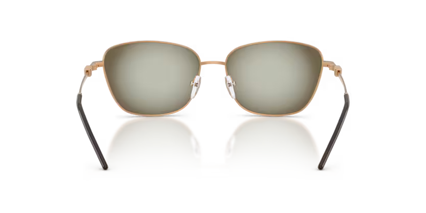 EMPORIO ARMANI EA2170 Sunglass