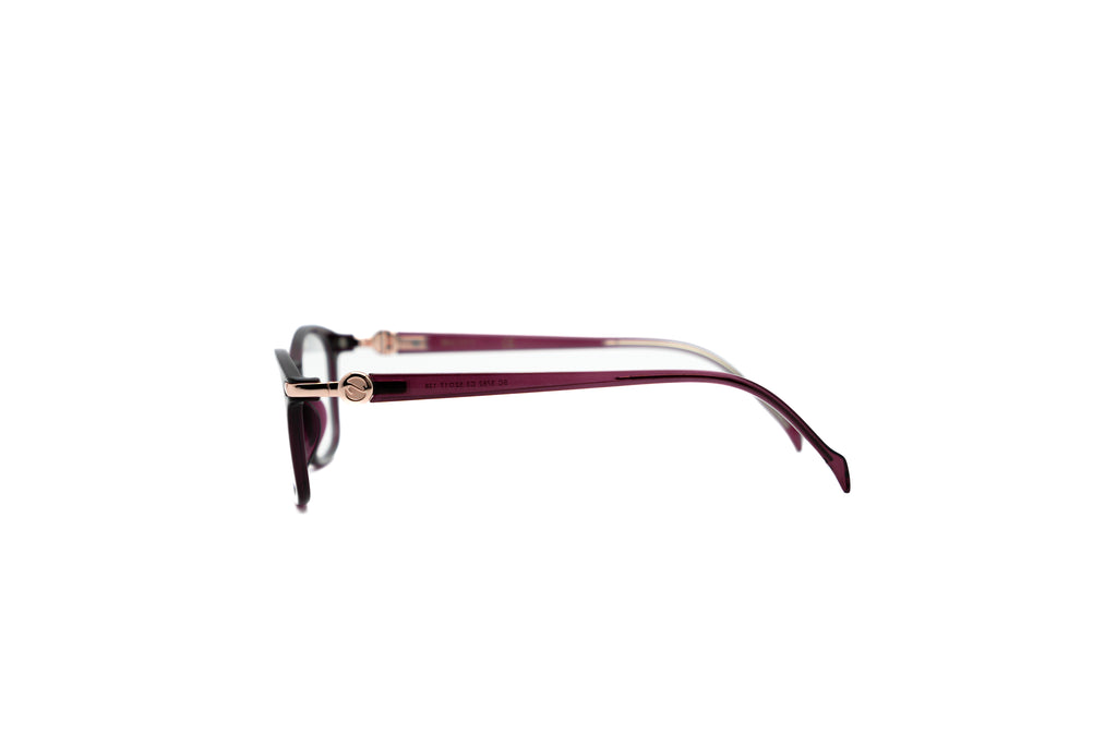 SCOTT SC5762 Optical Frame