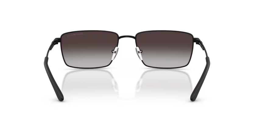 EMPORIO ARMANI EA2169 Sunglass