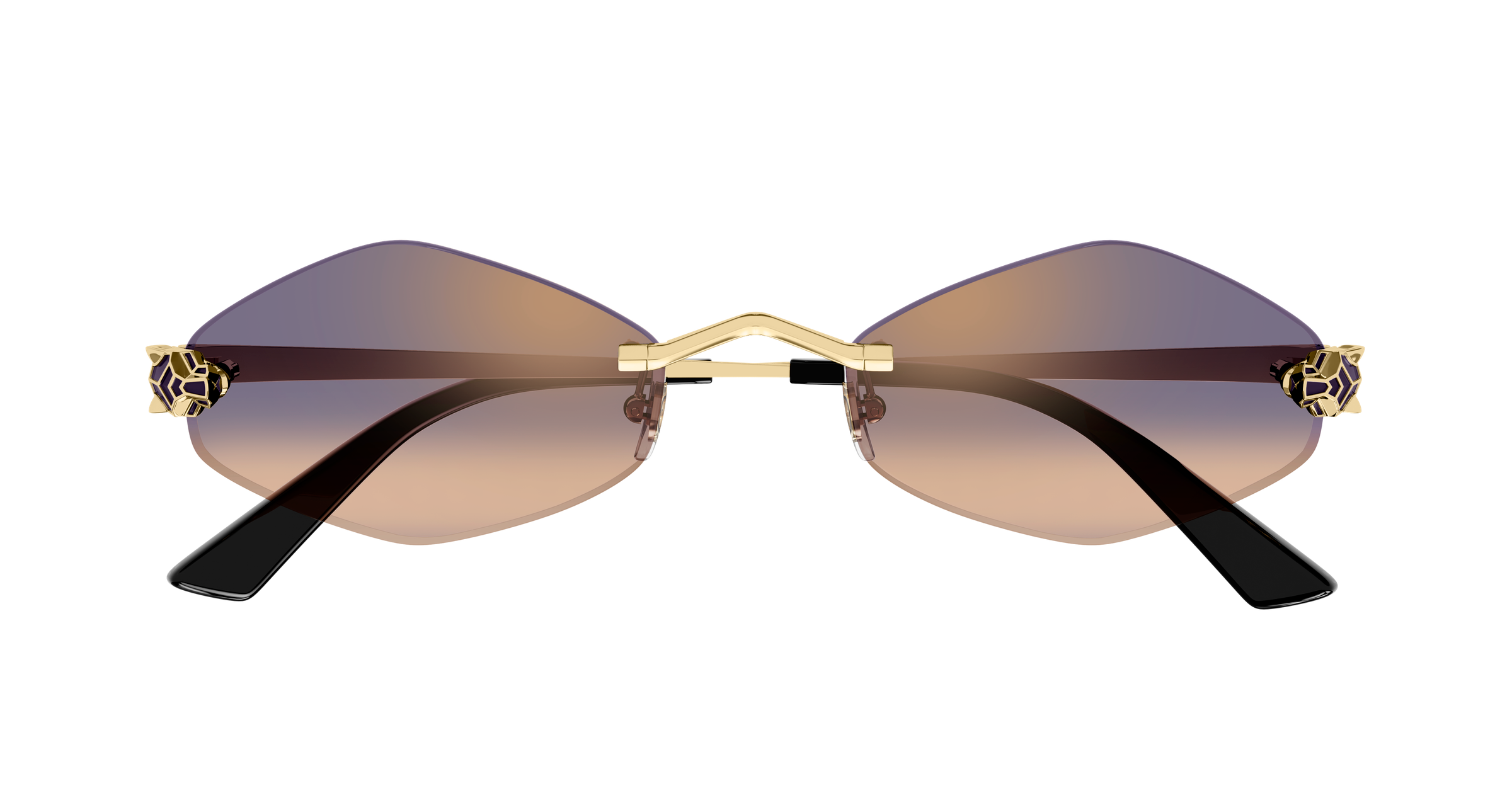 CARTIER CT0433S Sunglass | Designer eyeglasses for men and women | SpecsBunker India | premium optical frames collection