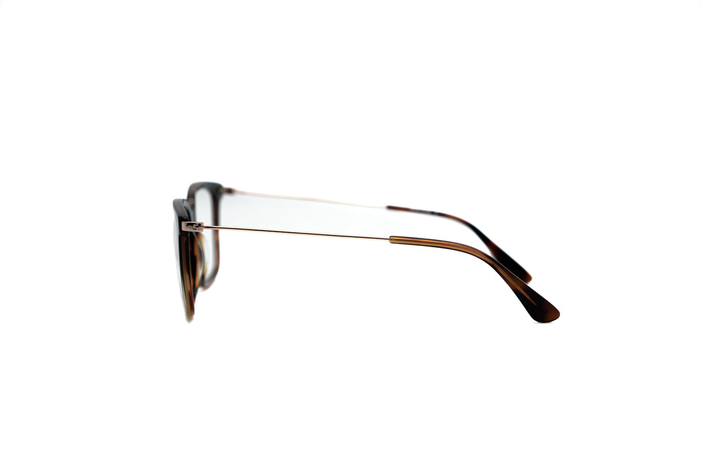 DAVID JONES DJ9141 Optical Frames
