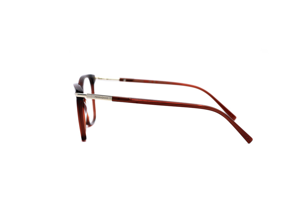 FERRAGAMO SF3013 Optical Frame