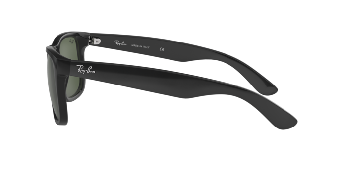RAY-BAN RB4165 Sunglass