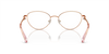 SWAROVSKI SK1002 Optical Frame