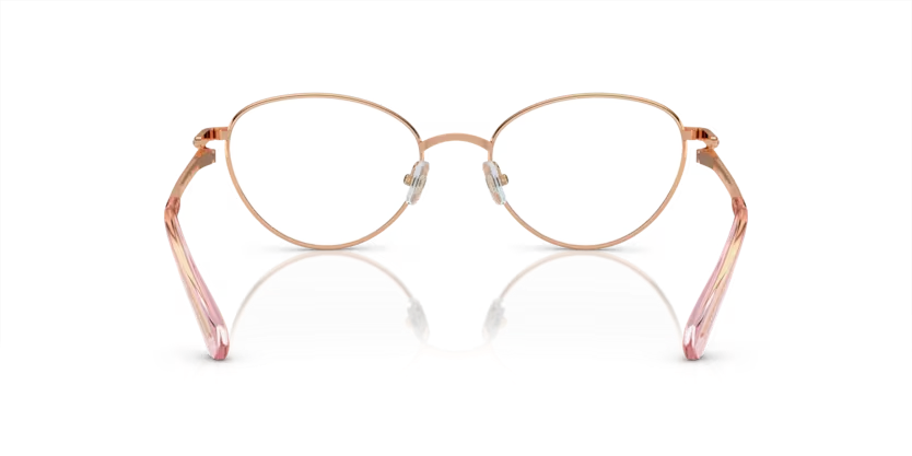 SWAROVSKI SK1002 Optical Frame