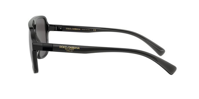 DOLCE & GABBANA DG6134 Sunglass