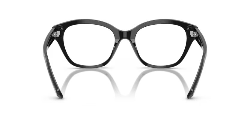 SWAROVSKI SK2038 Optical Frame