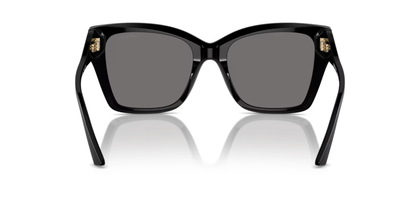 JIMMY CHOO JC5012 Sunglass
