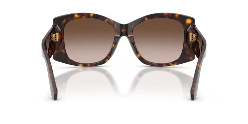 DOLCE & GABBANA DG4501 Sunglass