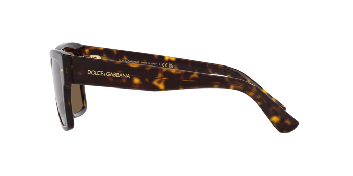 DOLCE & GABBANA DG4431 Sunglass