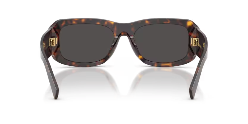DOLCE & GABBANA DG4503 Sunglass