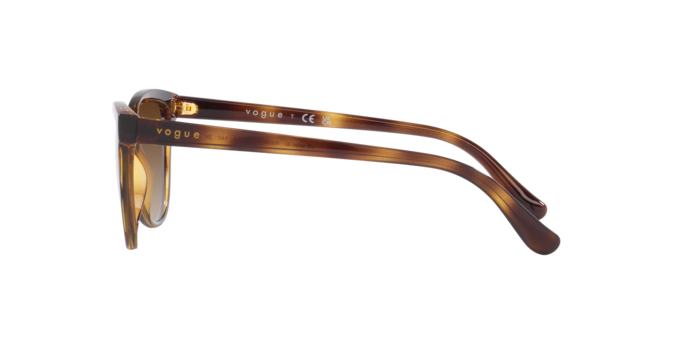 VOGUE VO5496SI Sunglass