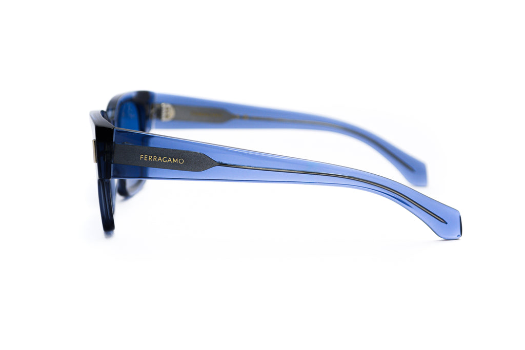 FERRAGAMO SF2010 Sunglass