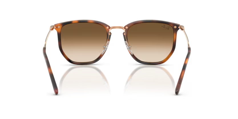 RAY-BAN RB4451 Sunglass