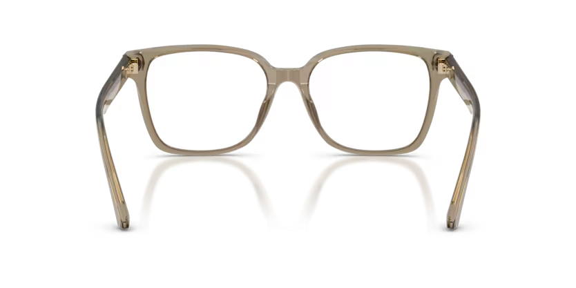 JIMMY CHOO JC3038D Optical Frame