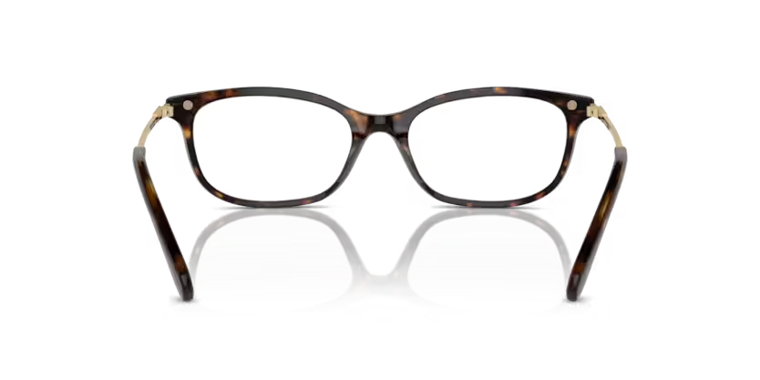 SWAROVSKI SK2017 Optical Frame