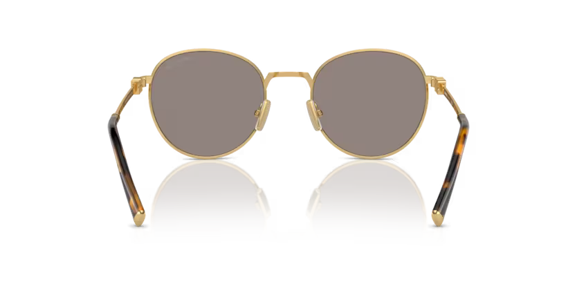 MIU MIU MU55ZS Sunglass
