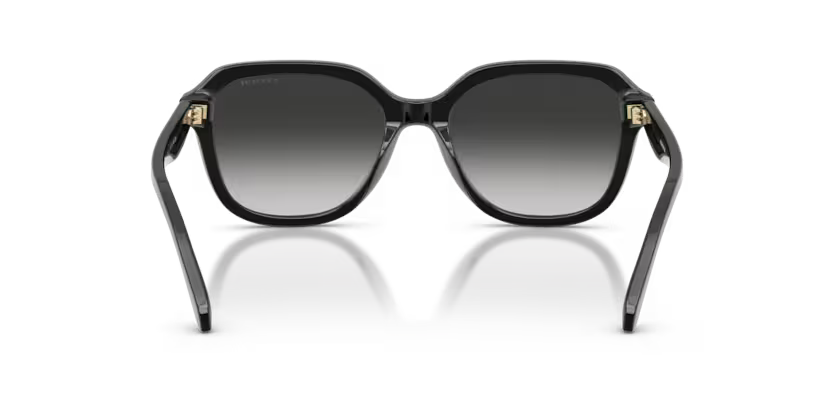 COACH HC8437U Sunglass online in India – branded UV protection shades