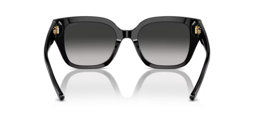 COACH HC8392U Sunglass online in India – premium sunglasses for men and women