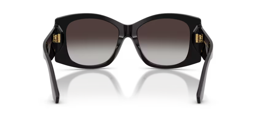 DOLCE & GABBANA DG4501 Sunglass