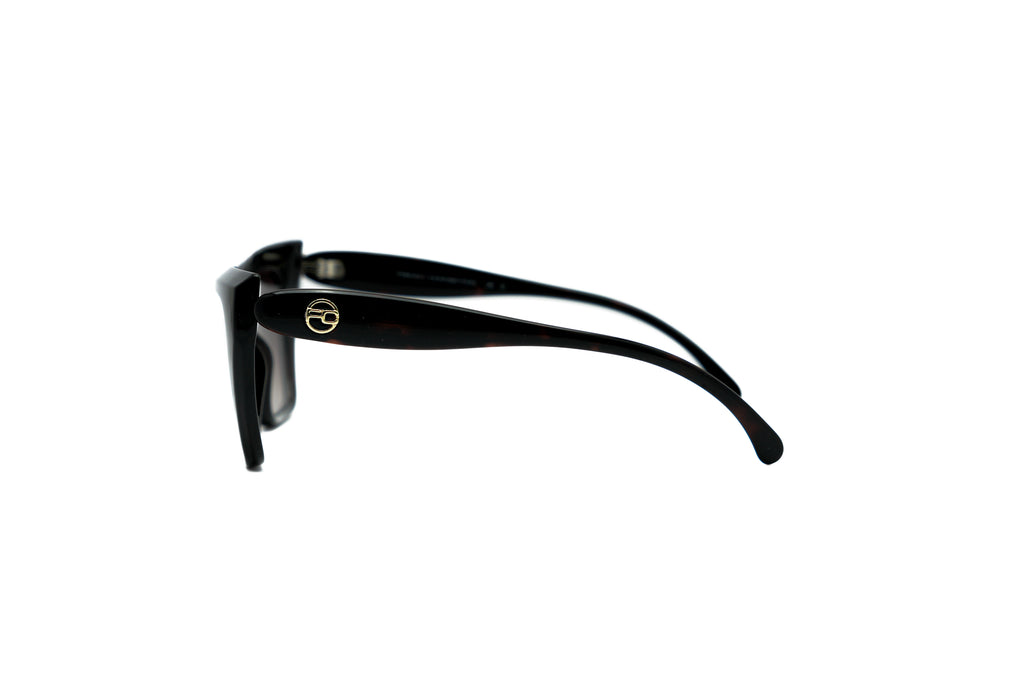 FRENCH CONNECTION FC7691 Sunglass