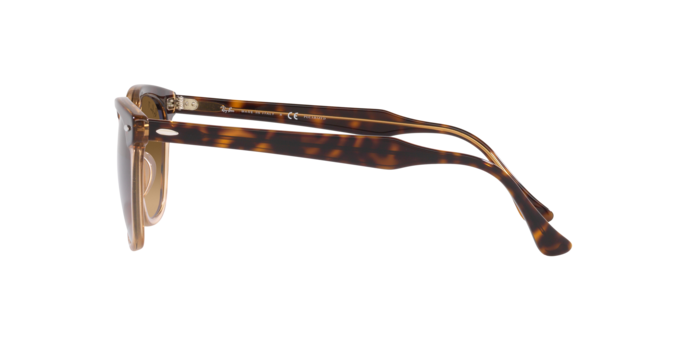 RAY-BAN RB2298 Sunglass