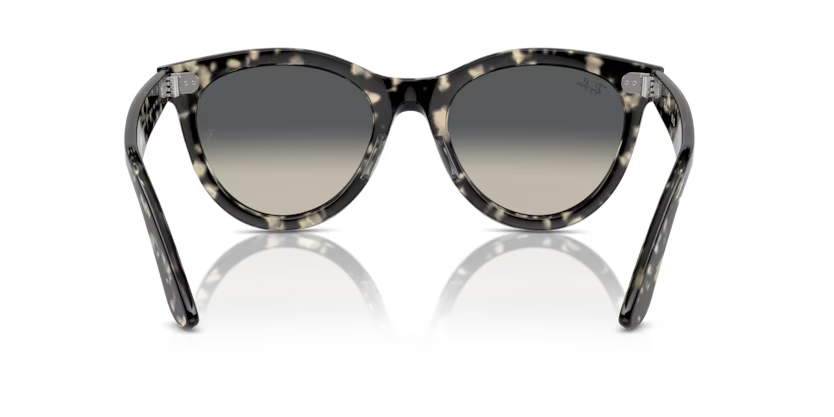 RAY-BAN RB2241 Sunglass