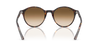 RAY-BAN RB2230 Sunglass