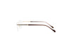 DAVID JONES 8007 Optical Frames