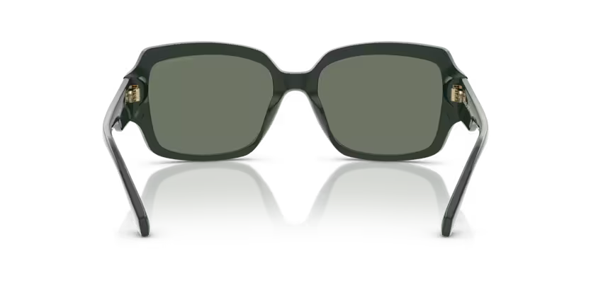 MICHAEL KORS MK2233B Sunglass