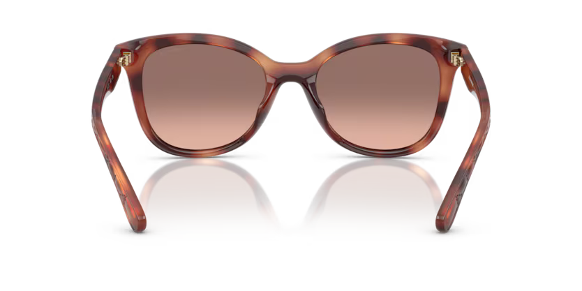 COACH HC8419U Sunglass