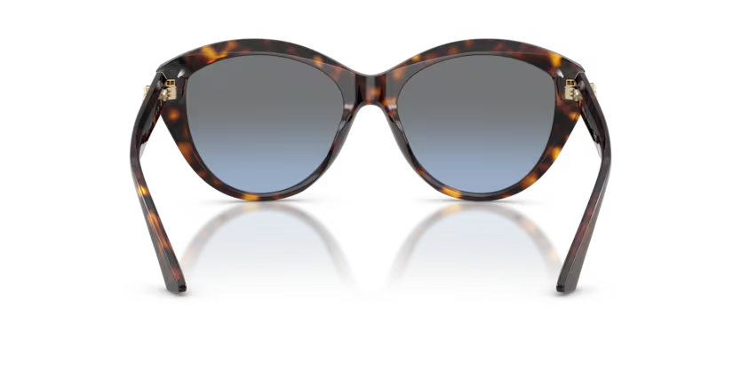 JIMMY CHOO JC5007 Sunglass