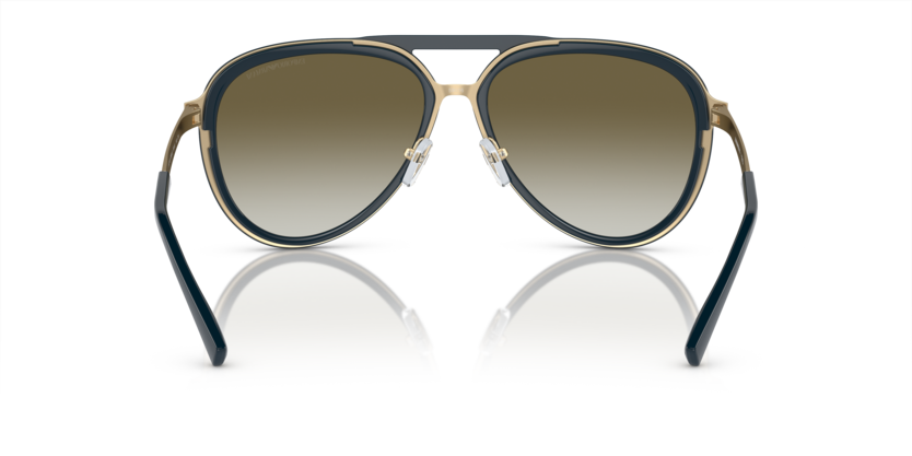 EMPORIO ARMANI EA2145 Sunglass