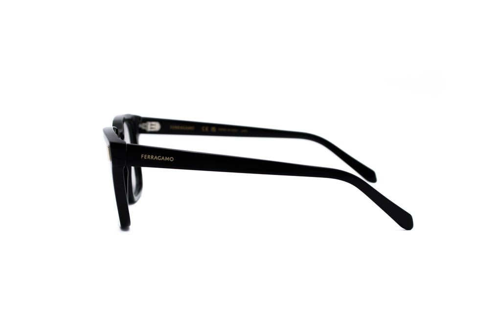 FERRAGAMO SF2996 Optical Frame