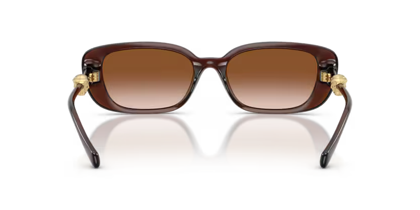 VERSACE VE4504D Sunglass