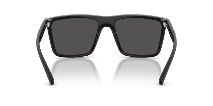 ARMANI EXCHANGE AX4162SU Sunglass