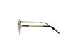 FRENCH CONNECTION FC7697 Sunglass