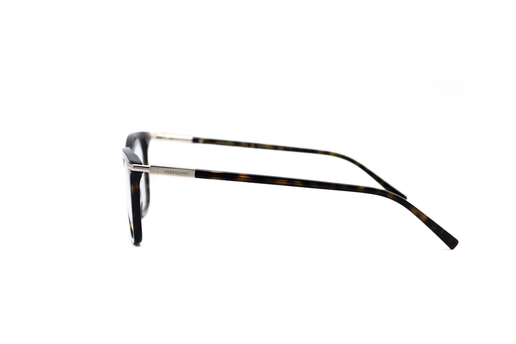 FERRAGAMO SF3007 Optical Frame