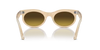 RAY-BAN RB2242 Sunglass