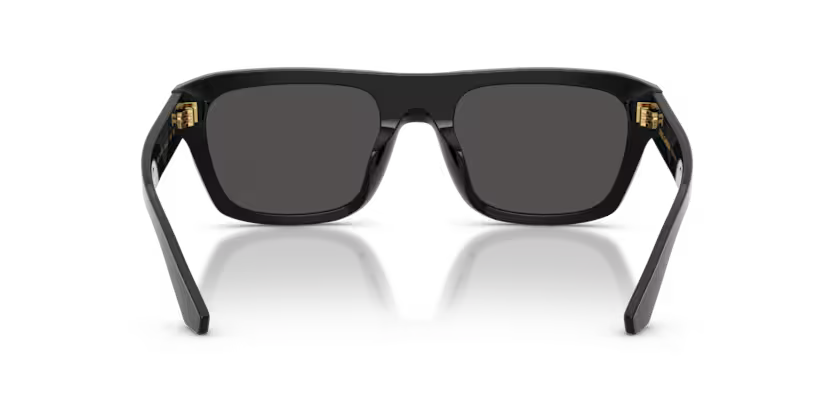 DOLCE & GABBANA DG4496 Sunglass
