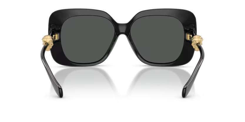 VERSACE VE4499U Sunglass