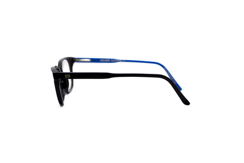 PITT & MITT PMF-9031E Optical Frame