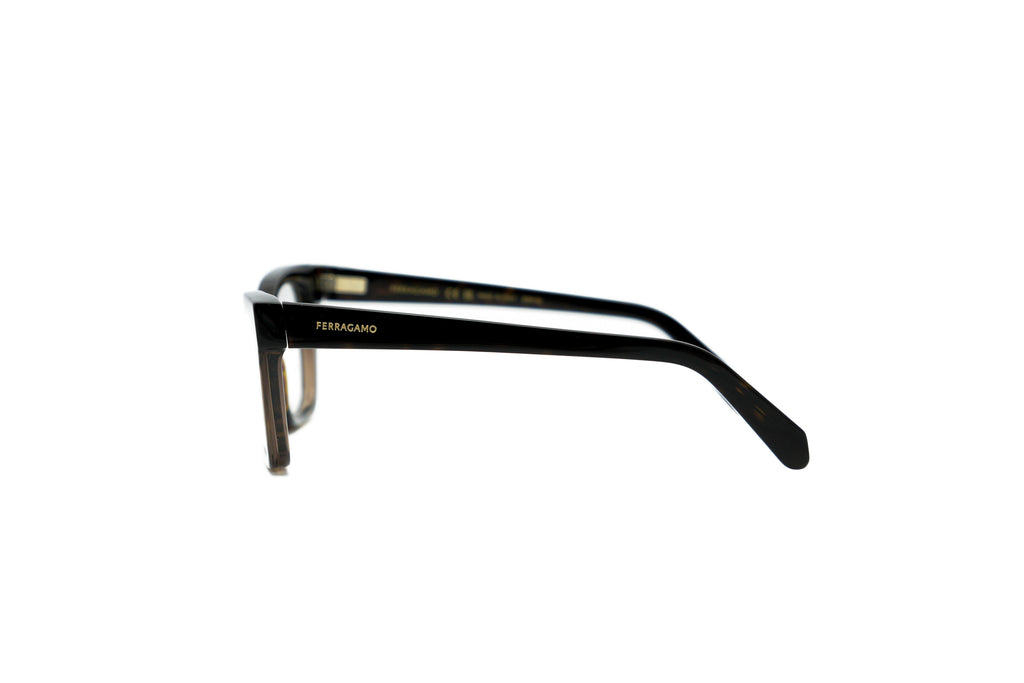 FERRAGAMO SF3052 Optical Frame