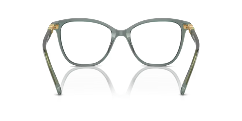 SWAROVSKI SK2020 Optical Frame