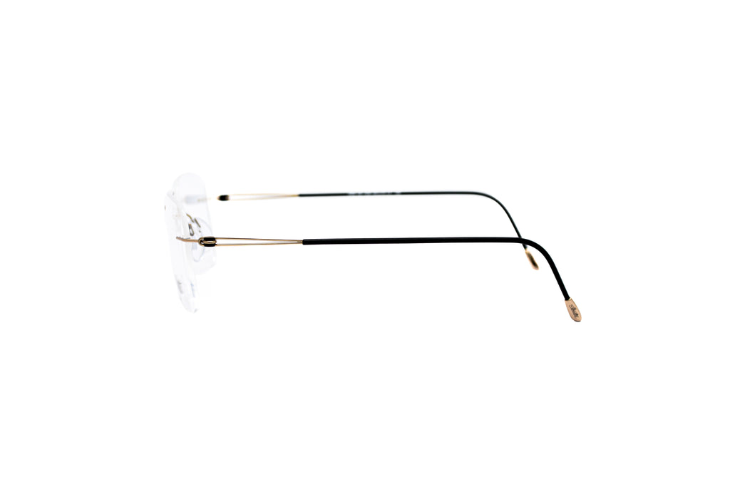SILHOUETTE 5569/DN Optical Frame