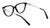 FERRAGAMO SF2946 Optical Frame