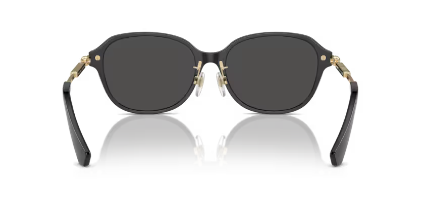 BURBERRY BE4429D Sunglass