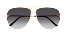 CARTIER CT0065S Sunglass online in India – premium sunglasses for men and women