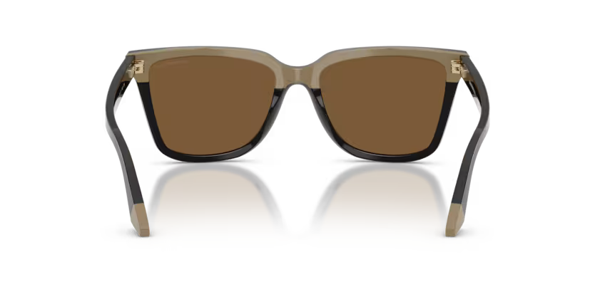 EMPORIO ARMANI EA4261 Sunglass